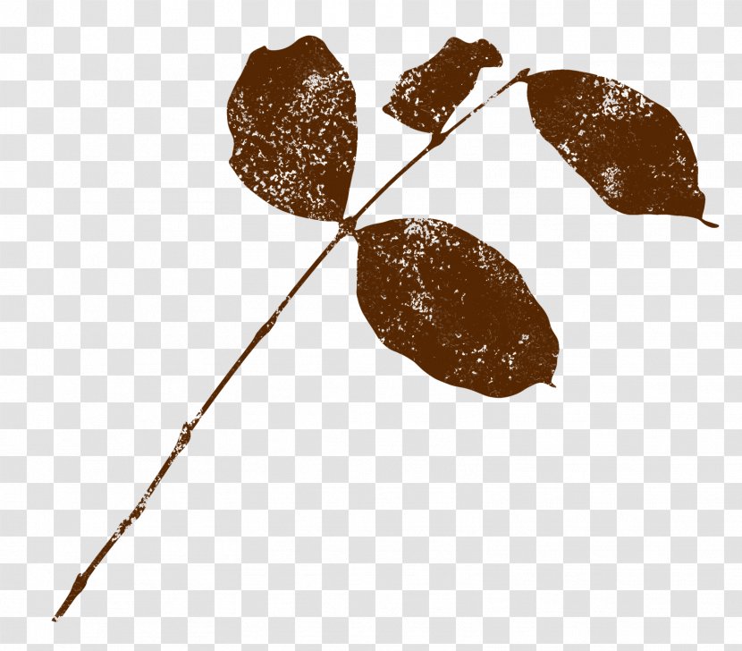 Leaf Brown Transparent PNG