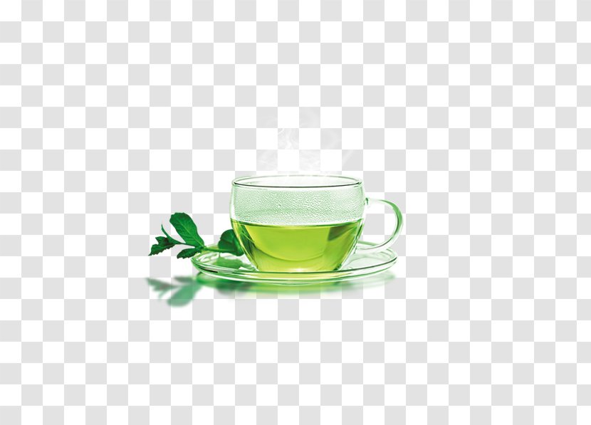 Green Tea Coffee Cup Electric Water Boiler Heating - Electricity Transparent PNG