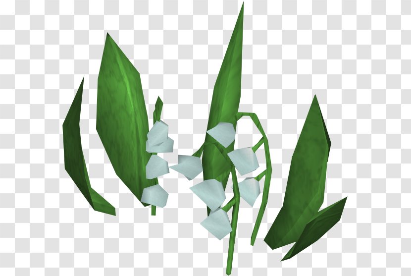 Lily Of The Valley Leaf - Plant Stem - Transparent Transparent PNG