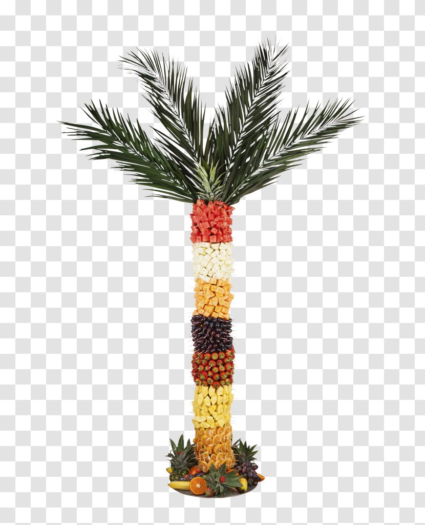 Date Palm Flowerpot Arecaceae - Arecales Transparent PNG