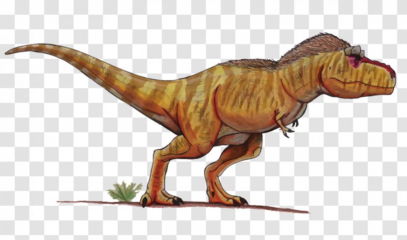 Tyrannosaurus Velociraptor Dinosaur - Vector Dinosaurs Transparent PNG