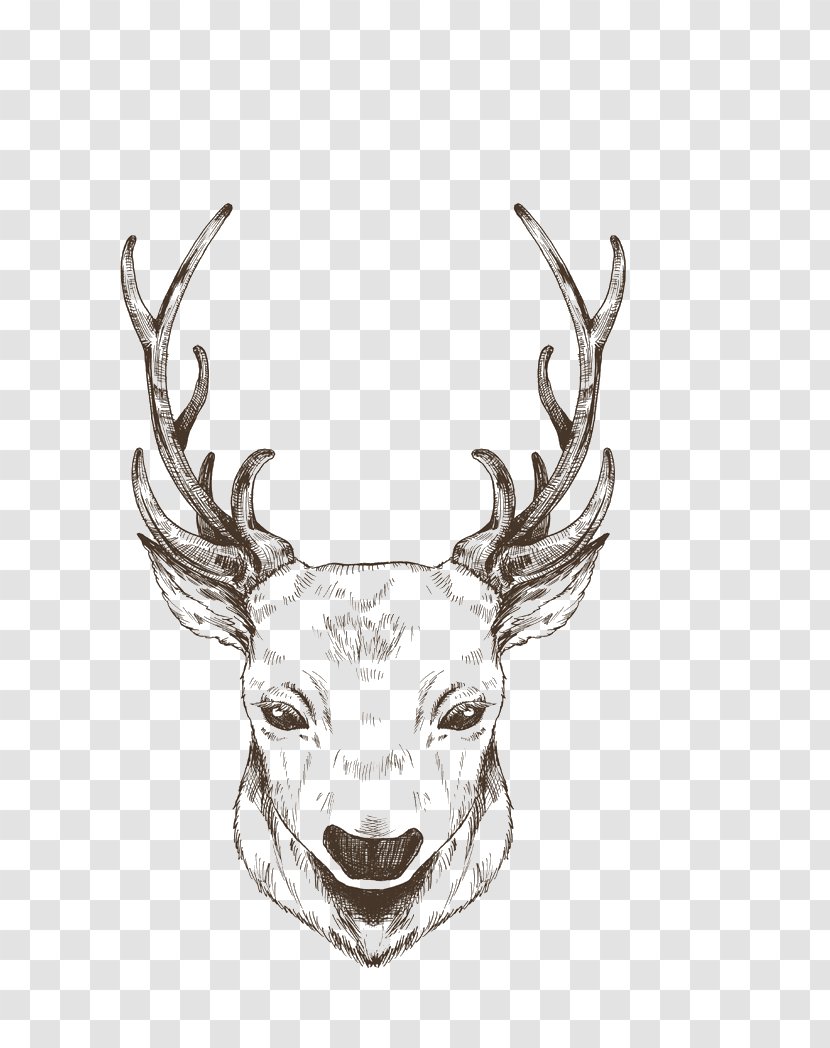 Reindeer Christmas - Horn - Painted Black Lines Transparent PNG