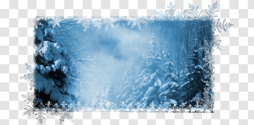 Desktop Wallpaper Winter Storm Snow Olvang's Huntsman - Water Transparent PNG