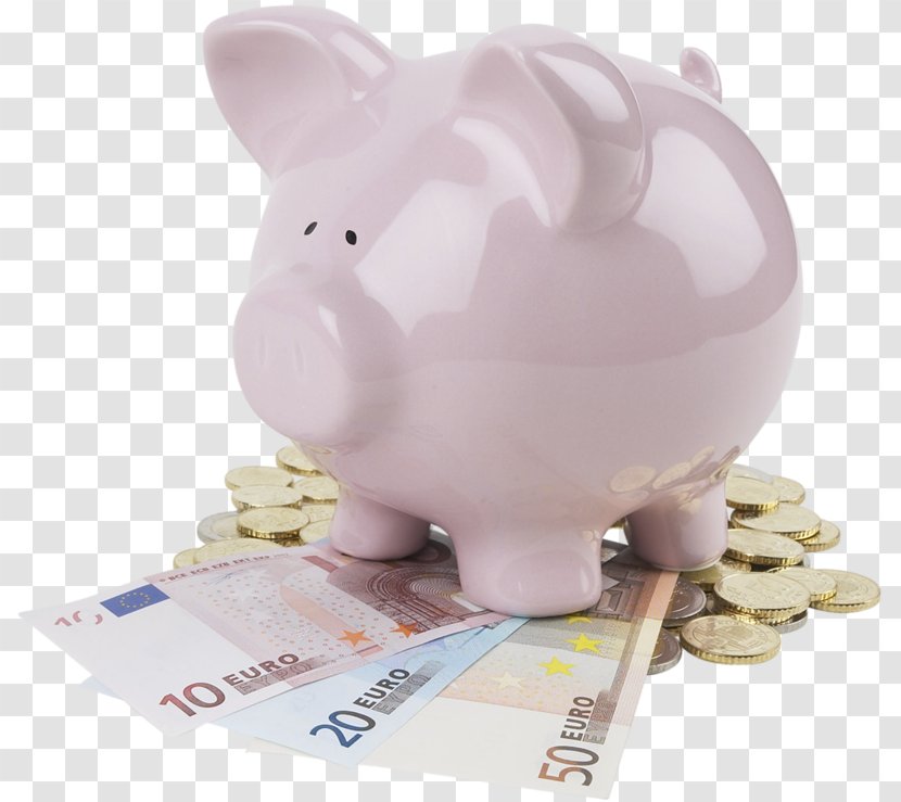 Germany Steuern: Einfxfchrung In Die Betriebswirtschaftliche Steuerlehre Externes Rechnungswesen Finanzierung Xdcbungen - Ebook - Piggy Bank Transparent PNG