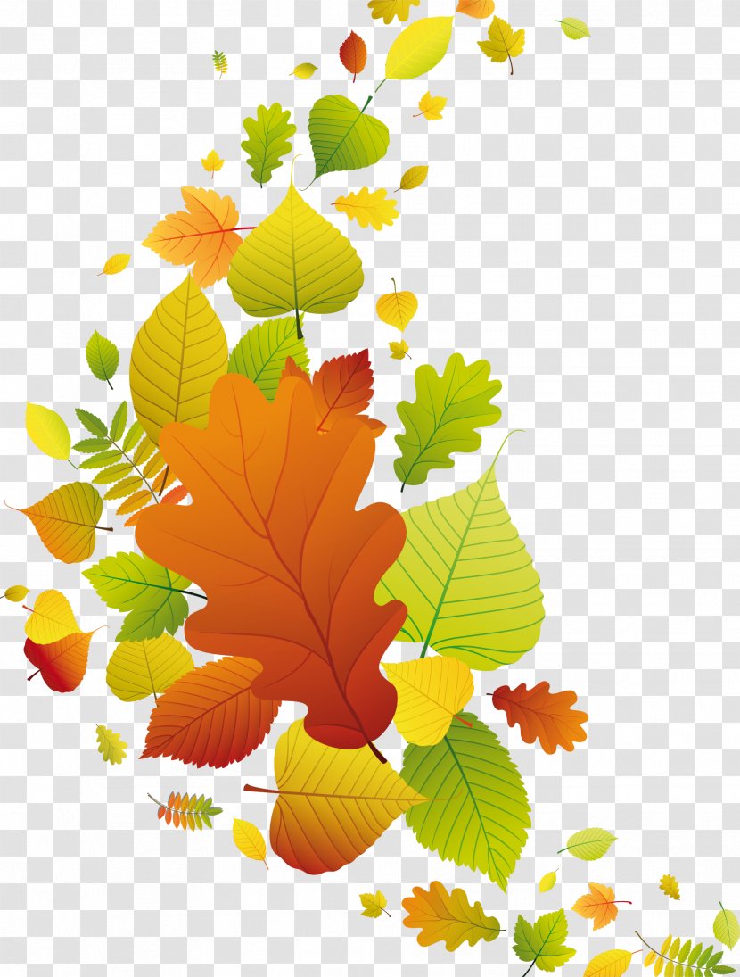 Paper Autumn Leaf Clip Art - Picture Frames - Leaves-fall Transparent PNG