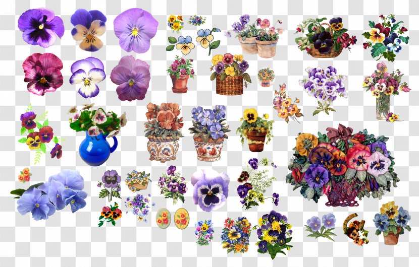 Pansy Flower Clip Art - Floral Design Transparent PNG