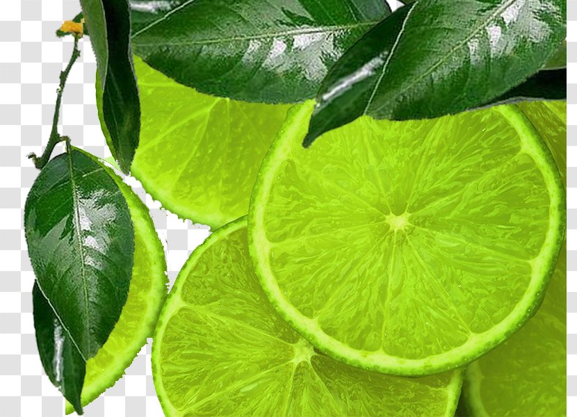 Lemon Sour Lime Desktop Wallpaper Green - Plant - Slices Creative Perspective Transparent PNG