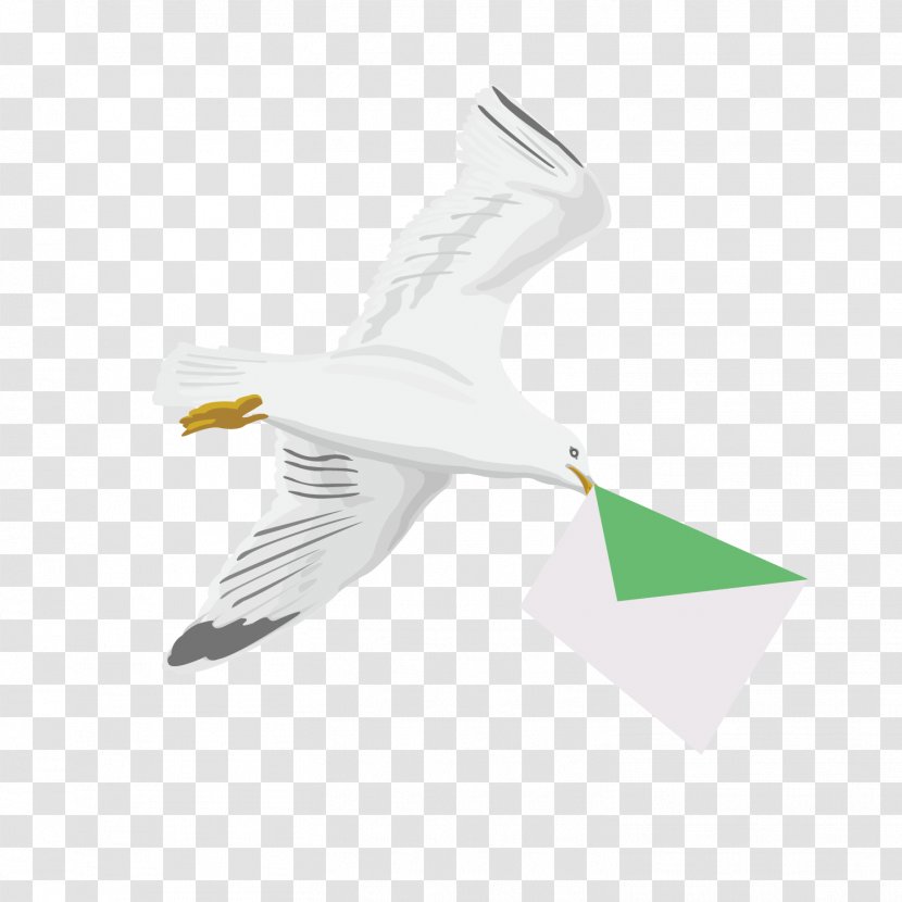 Homing Pigeon Bird Post - Feather - Vector Pattern Flying Transparent PNG