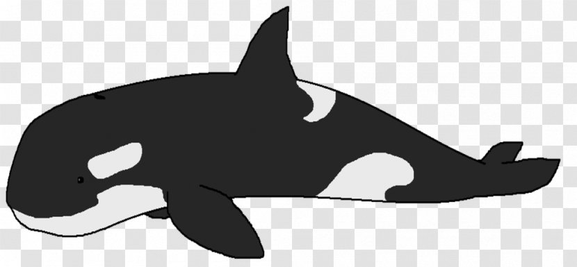 Clip Art The Killer Whale Image Cetacea Transparent PNG