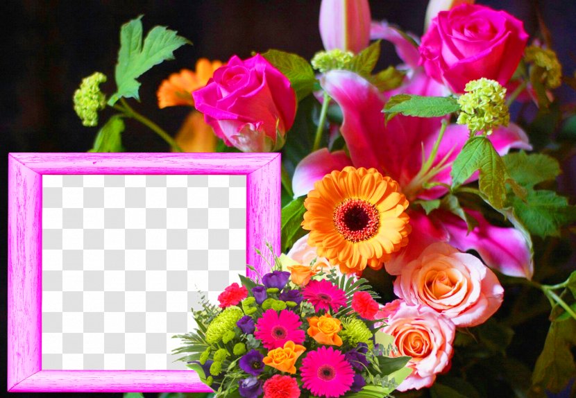 High-definition Television Flower Video 4K Resolution Wallpaper - Wuxga - Hq Cliparts Transparent PNG