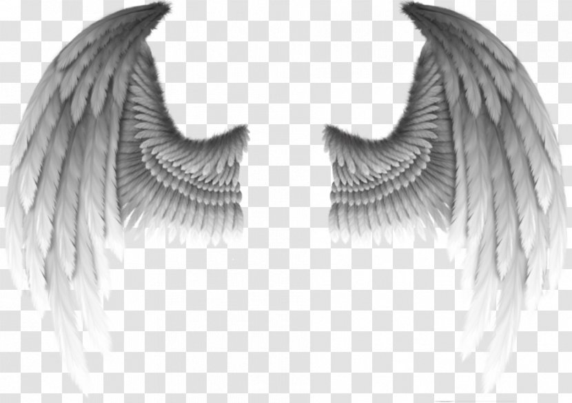 Fallen Angel Devil Wing Demon - Stock Photography - Devil's Wings Transparent PNG