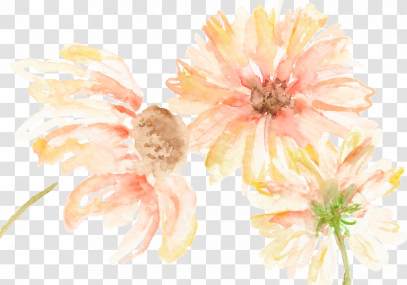 Floral Design Chrysanthemum Transvaal Daisy Still Life Photography Cut Flowers Transparent PNG