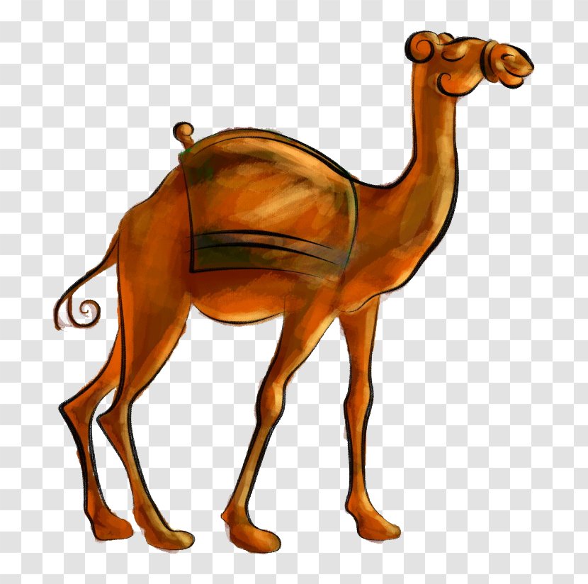 Camel - Desert - Hand-painted Cartoon Transparent PNG