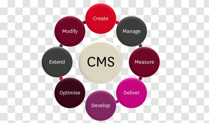 Content Management System Contact Page Web - Medicare Compliance Auditor Transparent PNG