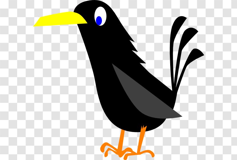 American Crow Common Raven Clip Art - Website - Cartoon Transparent PNG