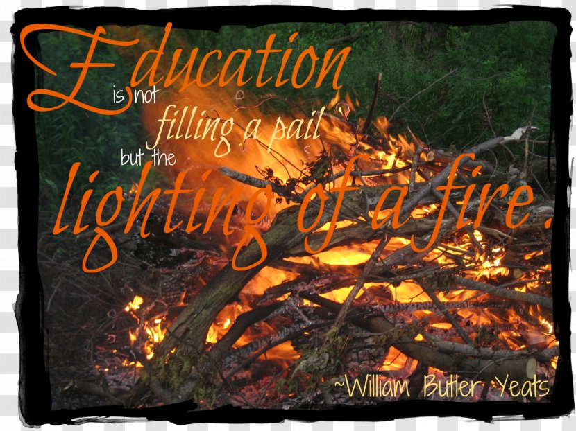 Andrew Largeman Education Garden YouTube Quotation - Film - Family Quote Transparent PNG