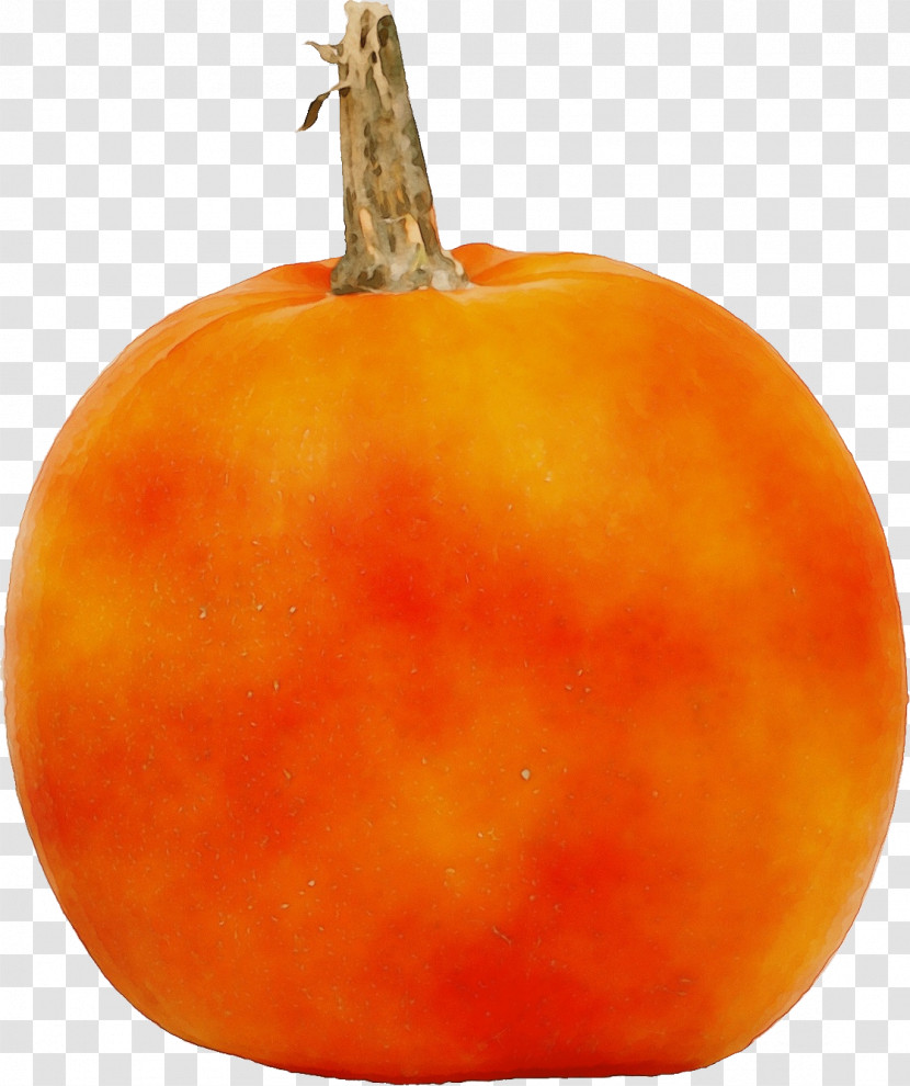 Squash Calabaza Winter Squash Local Food Clémentine M. Transparent PNG