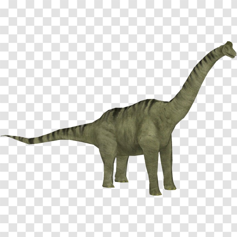 Brachiosaurus Jurassic Park: Operation Genesis Zoo Tycoon 2 Camarasaurus Allosaurus - Tail - Dinosaur Transparent PNG