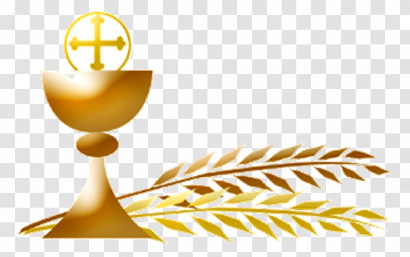 First Communion Eucharist Extraordinary Minister Of Holy Parish Mass - Gold Transparent PNG