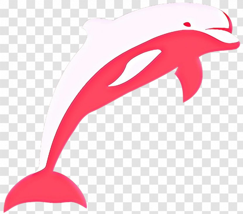 Dolphin Cartoon - Oceanic - Cetacea Pink Transparent PNG