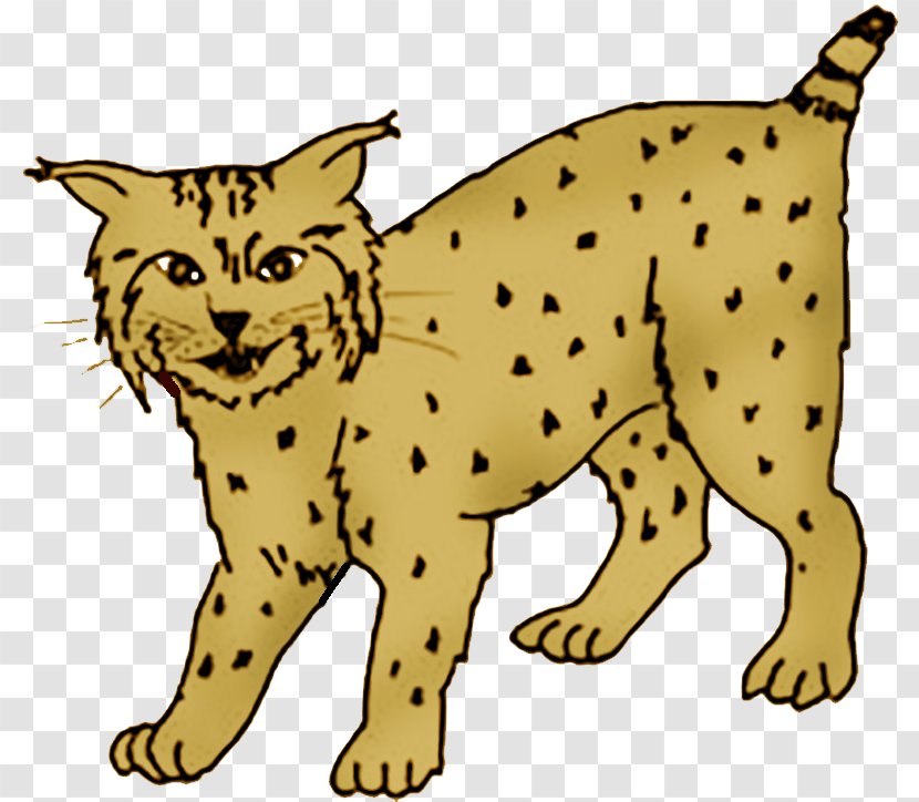Whiskers Wildcat Cheetah Dog - Mammal - Cat Transparent PNG