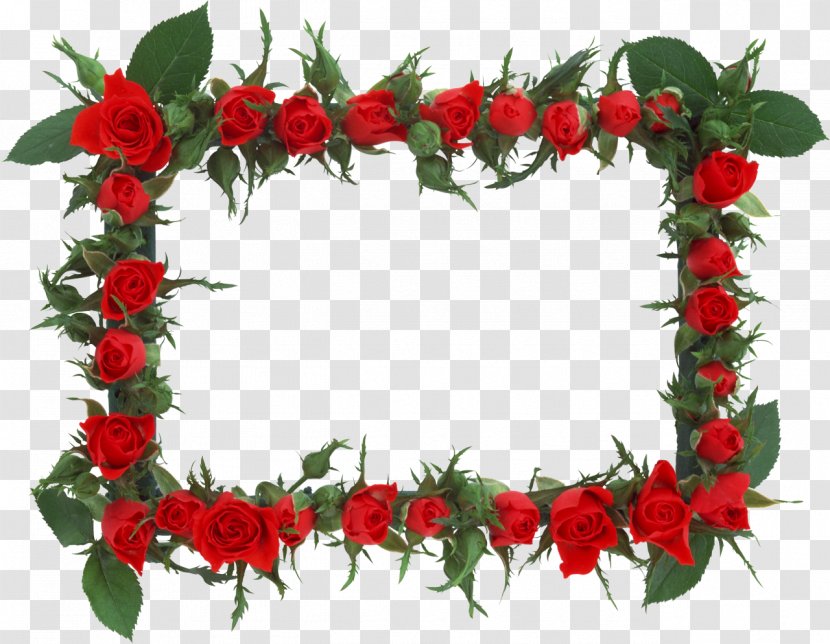 Picture Frames Rose Flower Window - Cut Flowers Transparent PNG