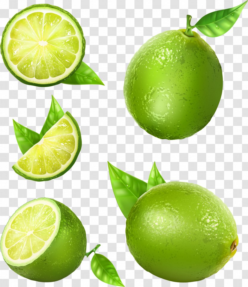 Lemon Juice Lime - Peel Transparent PNG