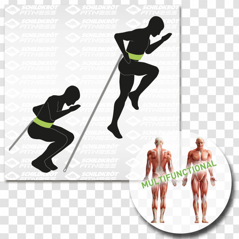 Abdominal External Oblique Muscle Physical Fitness Exercise - Footwear - Trainer Cartoon Transparent PNG