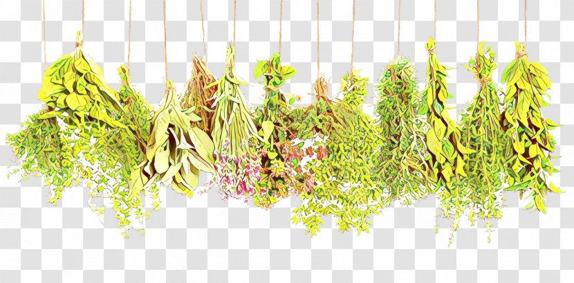 Medicine Alternative Health Services Herbalism - Naturopathy Transparent PNG
