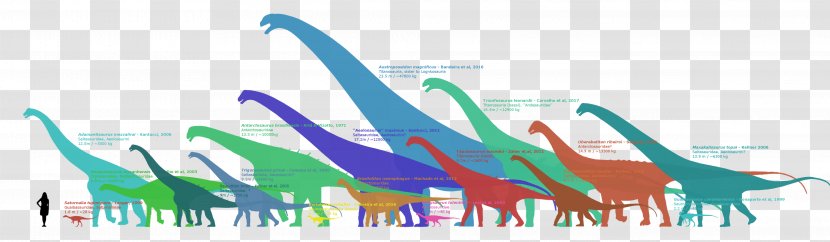 Sauropodomorpha Antarctosaurus Dinosaur Titanosaur Breviparopus - Art Transparent PNG