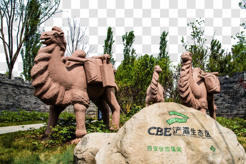 Tangshan Longquan Machinery Limited Company Nanhu Toll Gate Parking Lot - Tourism - Park Landscape Transparent PNG