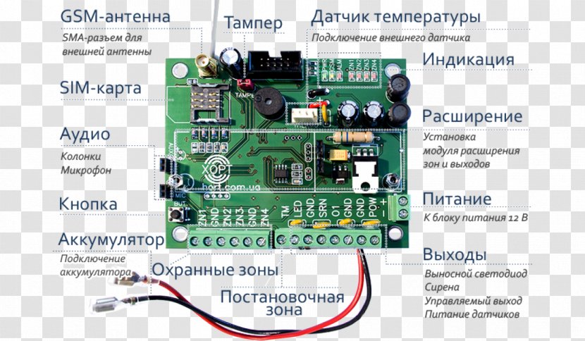 TV Tuner Cards & Adapters Electronic Component Engineering Microcontroller Electronics - Electrical Network - Hort Transparent PNG