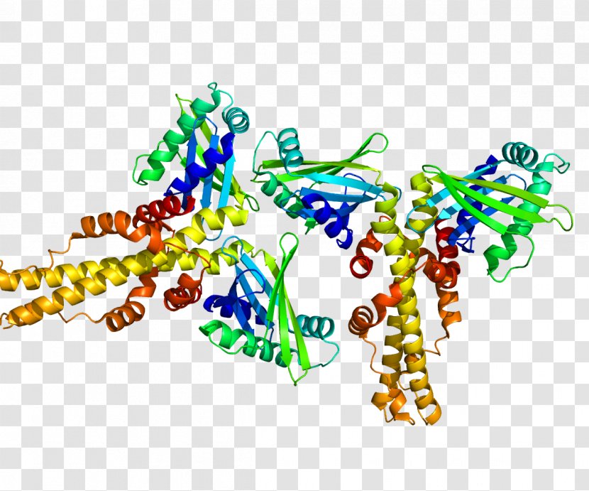 Non-homologous End-joining Factor 1 End Joining Homology DNA Repair Protein XRCC4 - Silhouette - Flower Transparent PNG