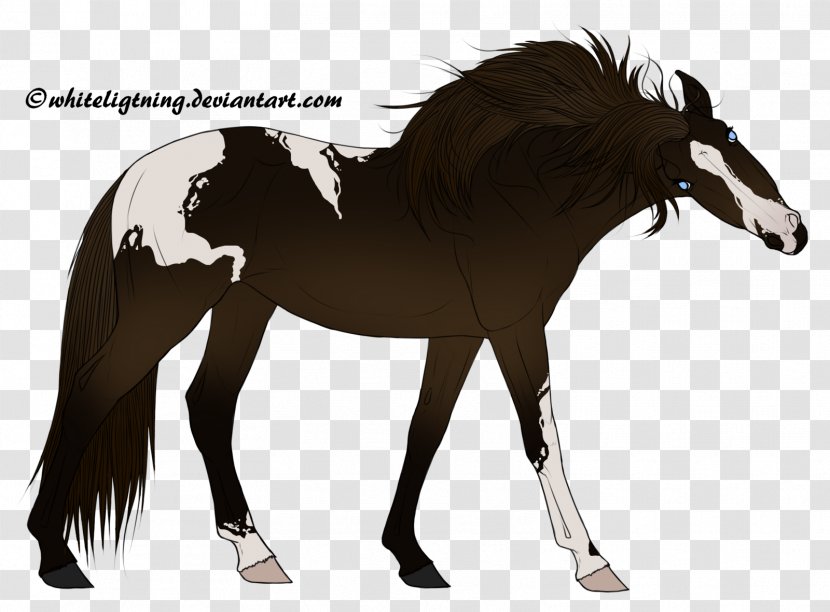 Mustang Foal Stallion Colt Mare - Horse - The Asterisk War Transparent PNG