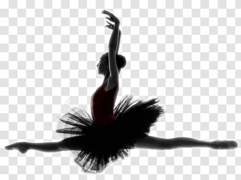 Ballet Dancer Dance Studio Tutu - Cartoon - Beauty Transparent PNG