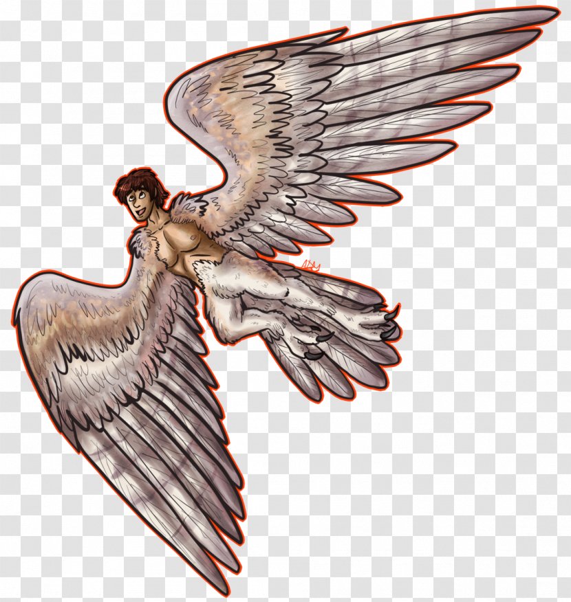 Eagle Hawk Neck Beak Angel M Transparent PNG
