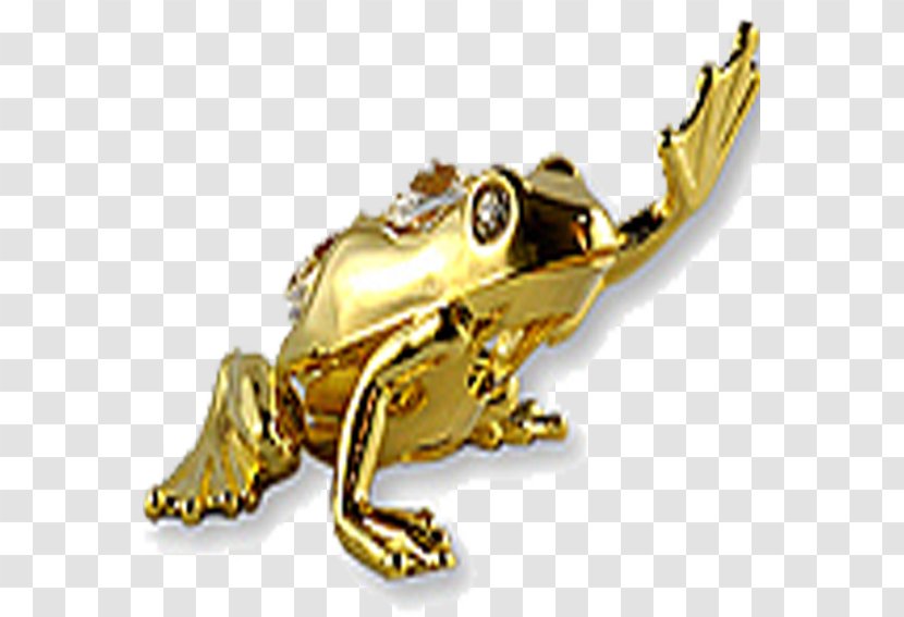 Panamanian Golden Frog Toad - Amphibian Transparent PNG
