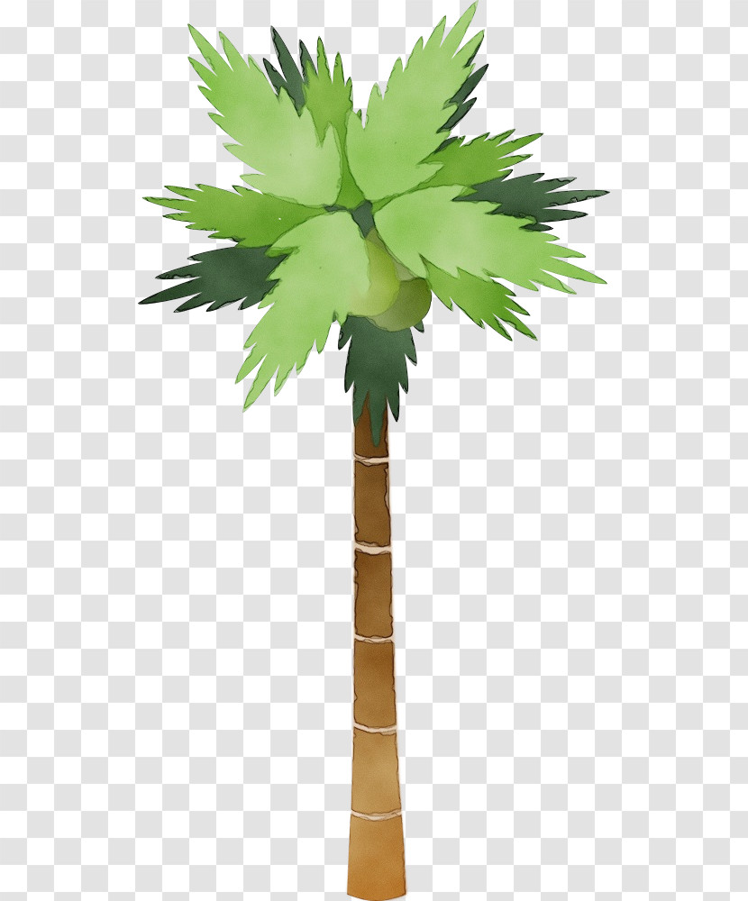 Palm Tree Transparent PNG