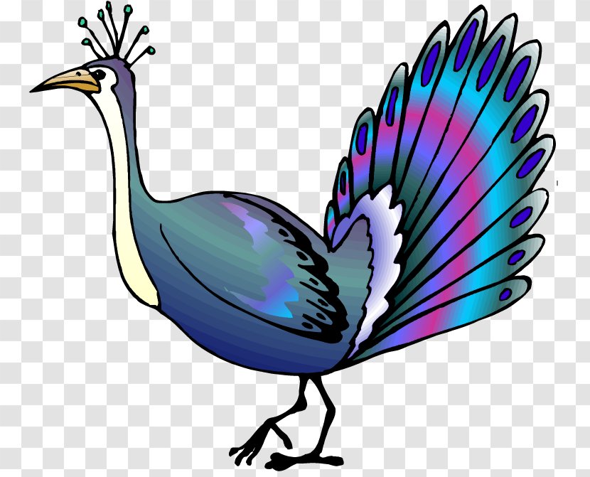 Bird Asiatic Peafowl Animation Clip Art Transparent PNG