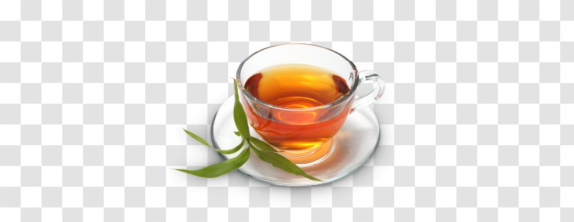 Earl Grey Tea Oolong Green Ceylan Transparent PNG