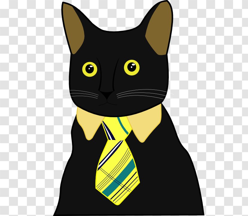 Business Cat Kitten Management - Grumpy - Businesss Vector Backgroudn Transparent PNG