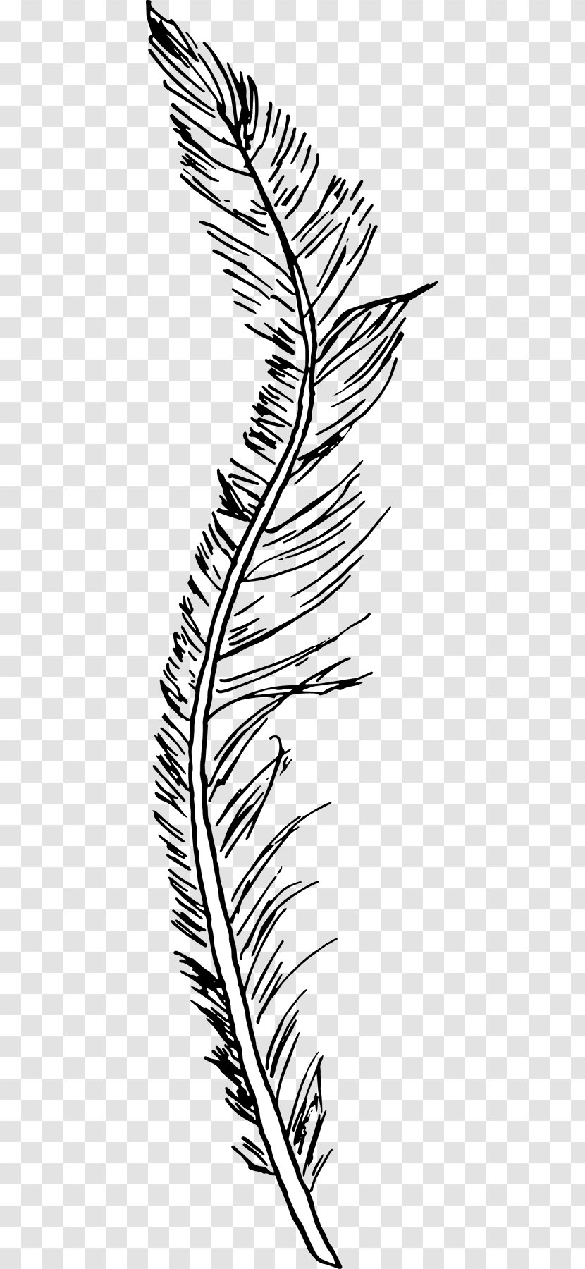 Line Art Leaf White Feather - Plant - Falling Feathers Transparent PNG