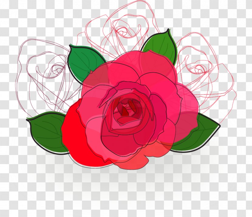 Beach Rose Flower Euclidean Vector - Flowering Plant - Rainbow Red Transparent PNG
