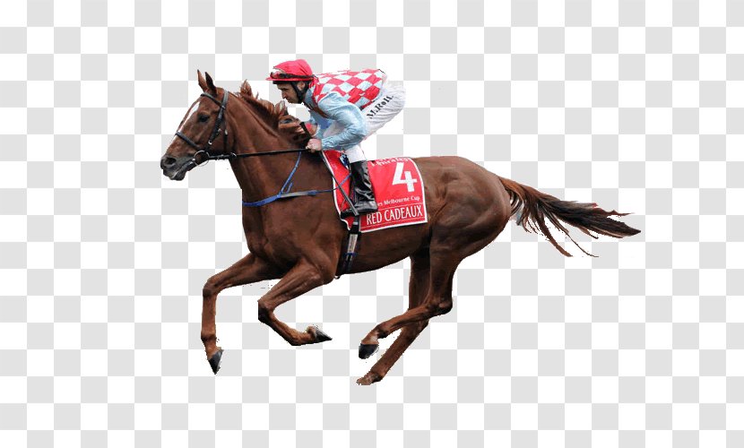 Horse Racing Melbourne Cup Sports Betting Red Cadeaux - Mane - Riding Transparent PNG