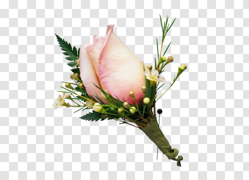 Flower Rose Floral Design Desktop Wallpaper - Cut Flowers Transparent PNG