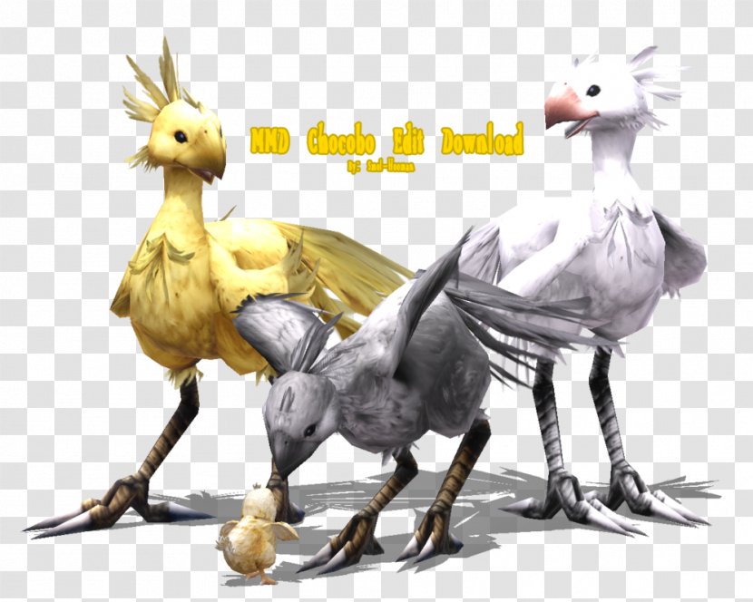 DeviantArt Rooster Chocobo Stock Photography - Chicken - Frame Transparent PNG