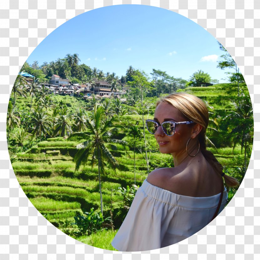 Kuta Ubud Sanur, Bali Gili Trawangan Travel Transparent PNG