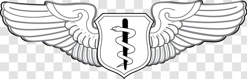 U.S. Air Force Aeronautical Rating 0506147919 United States Aviator Badge Badges Of The - Cartoon - USA Transparent PNG