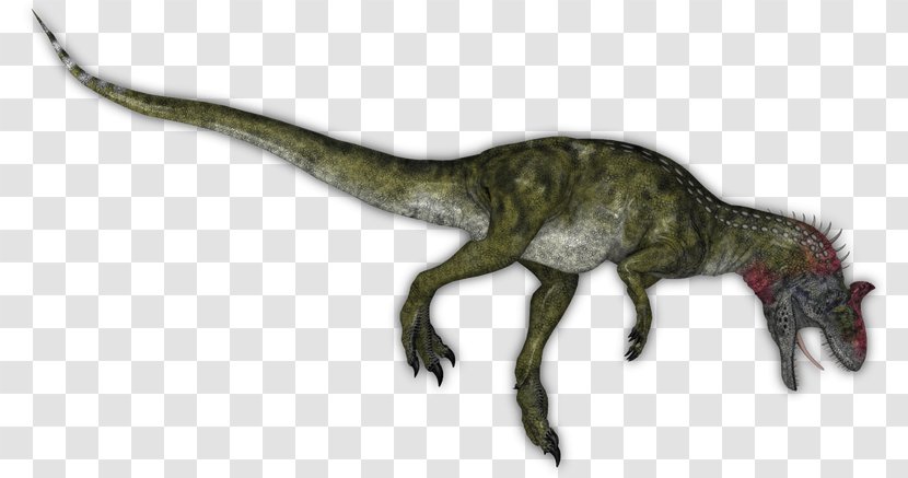 Velociraptor Tyrannosaurus Fauna Extinction Animal - Organism - Cryolophosaurus Transparent PNG