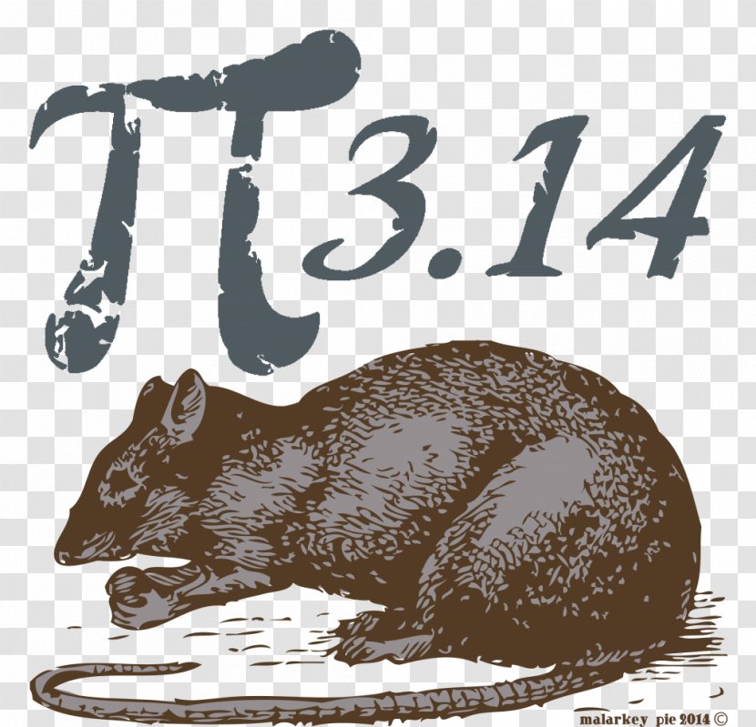 Pi Day Rat Mathematics Mammal - Rodent - & Mouse Transparent PNG